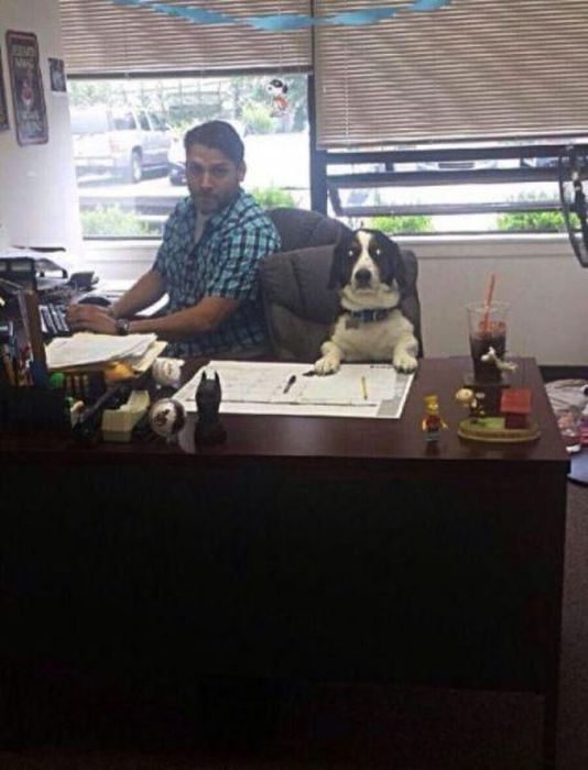 work_fails_job_lols_41