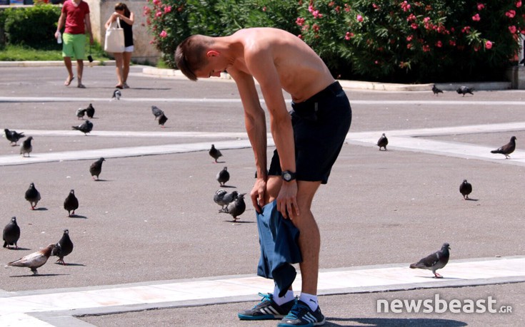 zesthathina16 zesthathina16