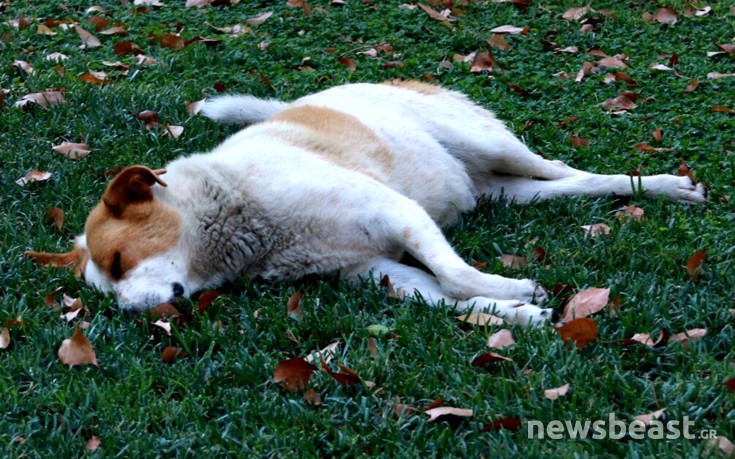 zesthathina6 zesthathina6