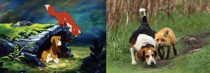 11141345_994995987264018_2684682784543491485_n