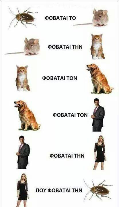 11145231_1626291800946779_4155999600639255185_n