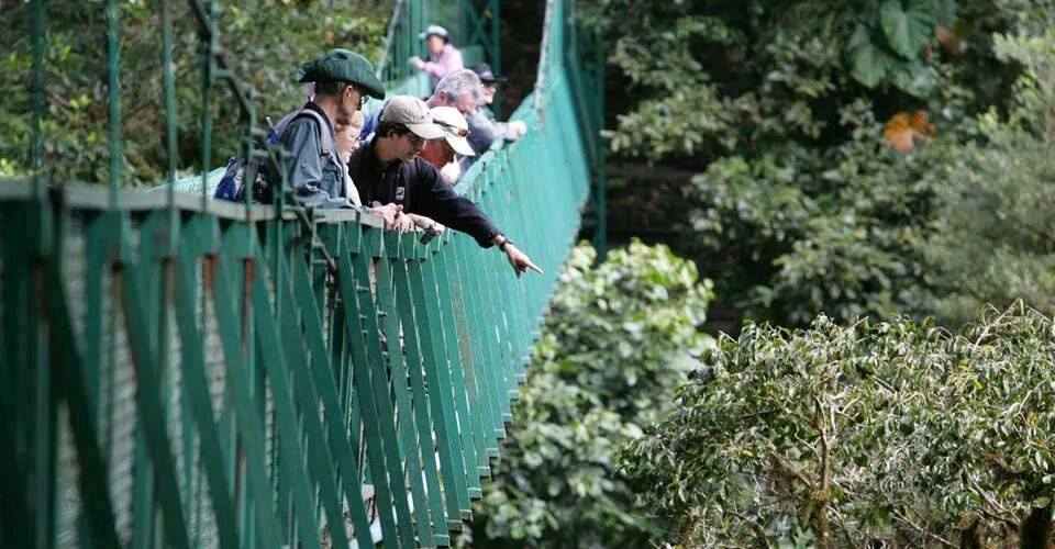 11251883_879479455481138_5876460604604040768_n