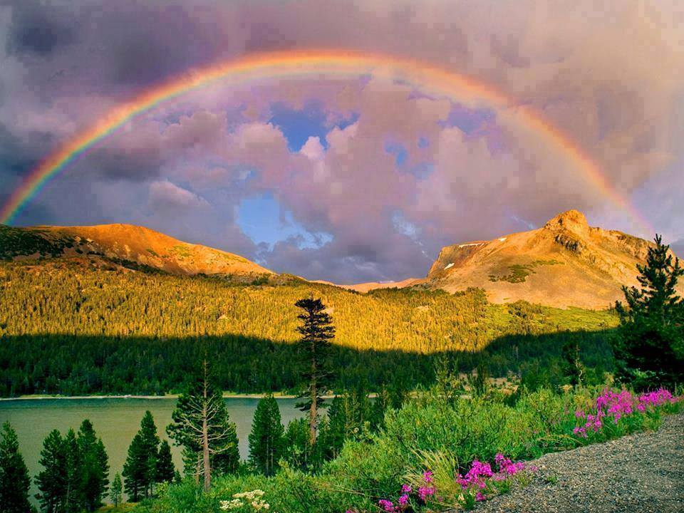 11800459_576385675832598_9029961592228270327_n