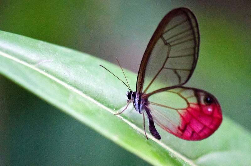 11822436_909152409138474_6772589669972015553_n