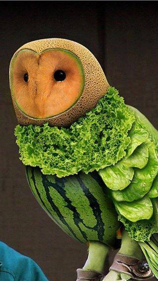 11822650_879481305480953_2980716754965411505_n