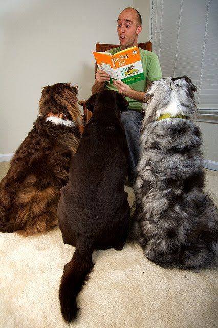 11825091_882661281829622_6621953668892144917_n