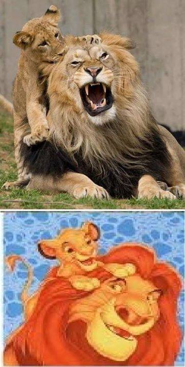 11825169_994995947264022_3780370011848659735_n