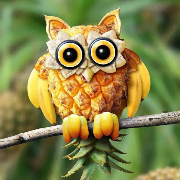 11825845_879481322147618_216718646826511224_n