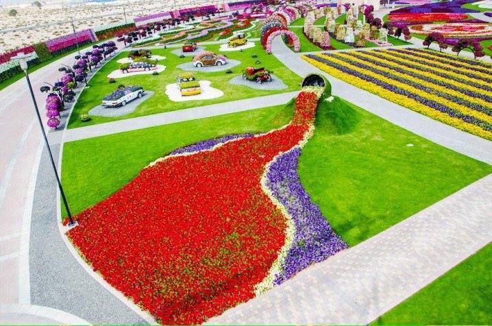 11826011_881680765261007_6139031838218450219_n