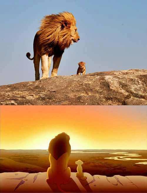 11828624_994995817264035_5133769250815804721_n