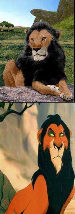 11836648_994996050597345_3969926870723556509_n