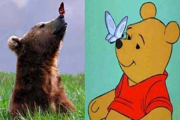 11836686_994996003930683_3109806119492017652_n