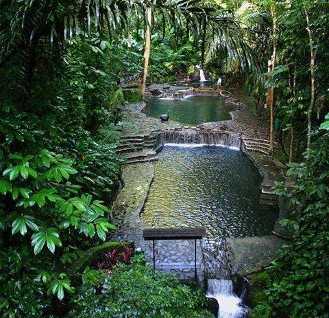 11855721_577630885708077_1812437678898060794_n