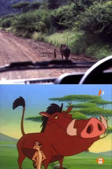 11866478_994995930597357_8422551456668204433_n