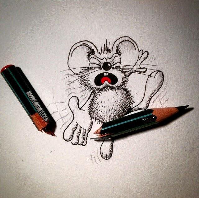 11951167_1169524996394426_4547489682933213277_n