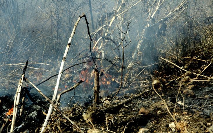 Στον εισαγγελέα 47χρονος για τη φωτιά στην Πάλαιρο