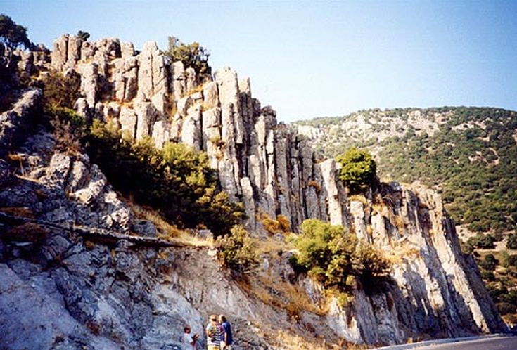 Απολιθωμένο δάσος, Λέσβος