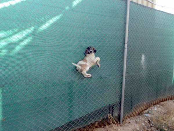 bizarre-sitautions-25