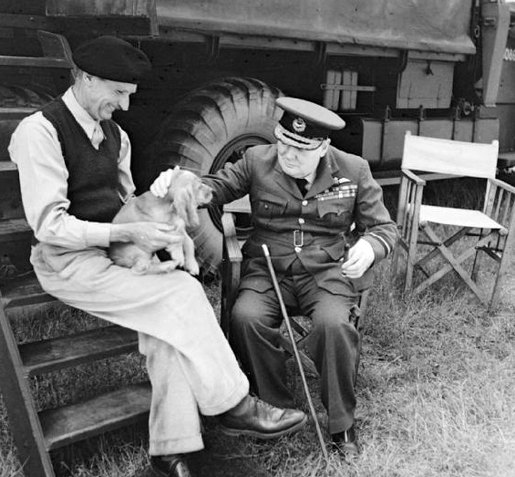 brnnrdgmgoor17 brnnrdgmgoor17