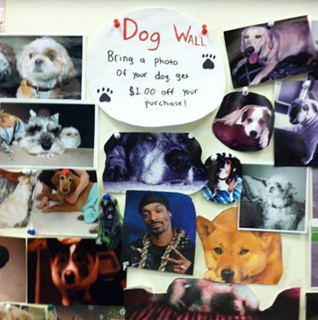 can_you_spot_the_odd_one_out_640_high_03