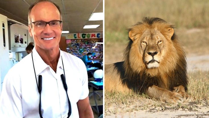 Φωτογραφίες του οδοντιάτρου που σκότωσε το λιοντάρι Cecil με άλλα νεκρά ζώα