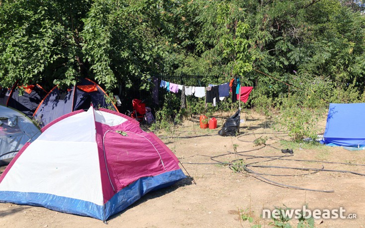 pedionarews1 pedionarews1