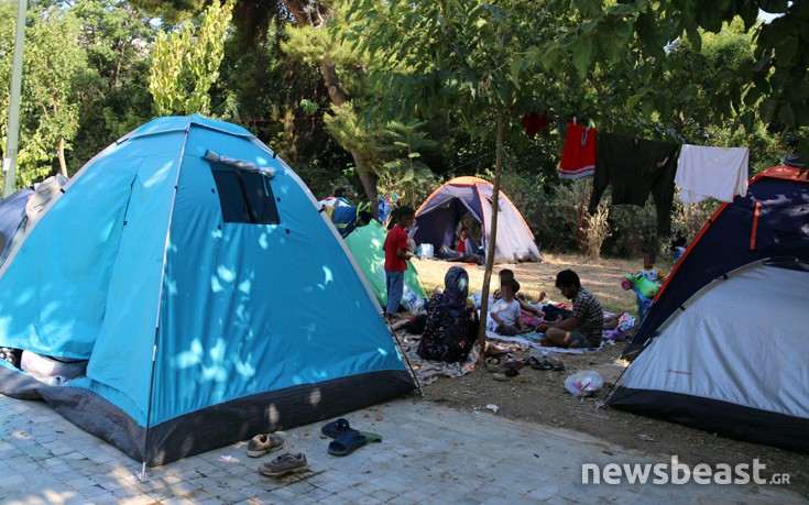 pedionarews12 pedionarews12