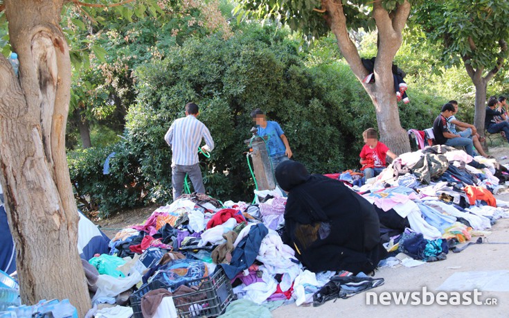 pedionarews14 pedionarews14