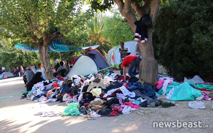 pedionarews15 pedionarews15