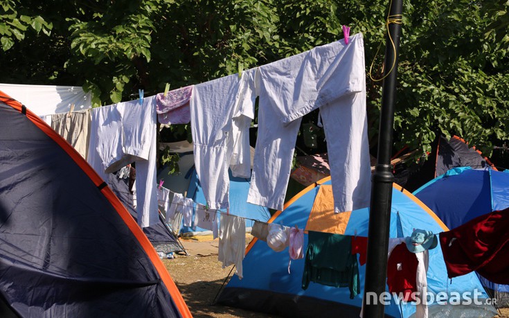 pedionarews16 pedionarews16