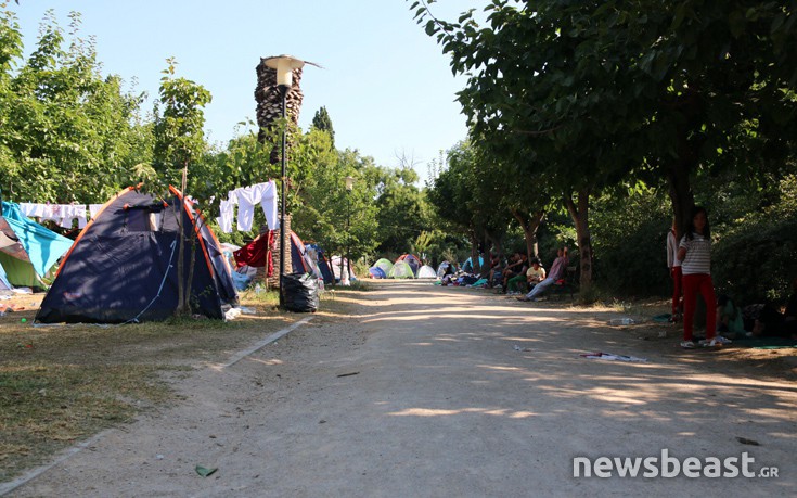 pedionarews17 pedionarews17