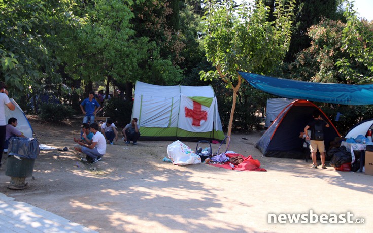 pedionarews3 pedionarews3