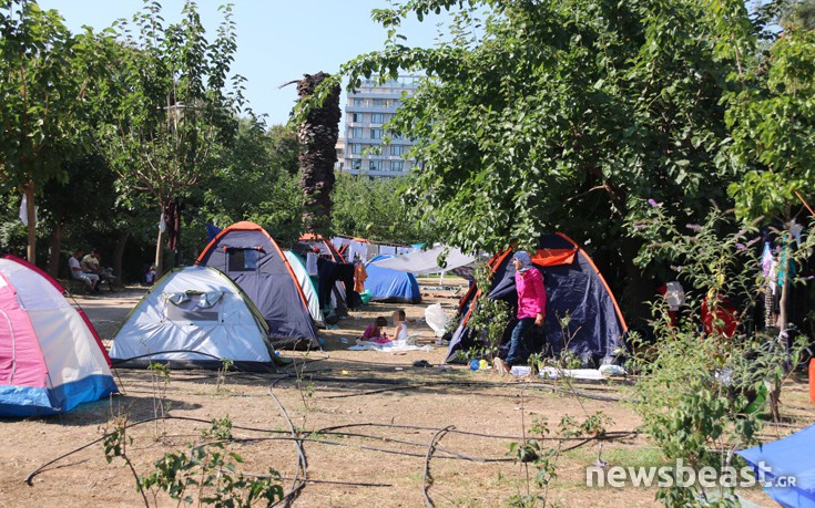 pedionarews5 pedionarews5