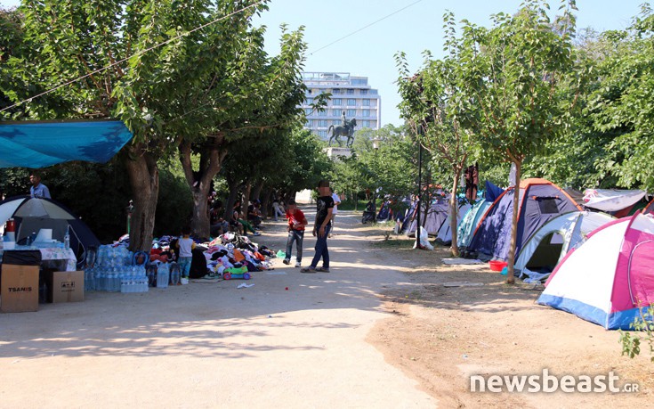 pedionarews8 pedionarews8