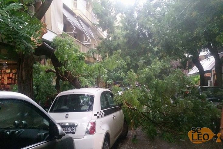 Έπεσαν δέντρα πάνω σε αυτοκίνητα στη Θεσσαλονίκη