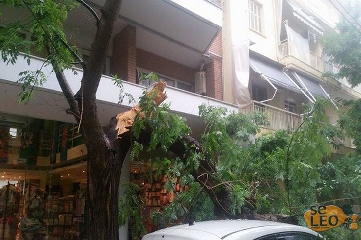 ptosi_dentrou_6-8-2015_2 ptosi_dentrou_6-8-2015_2