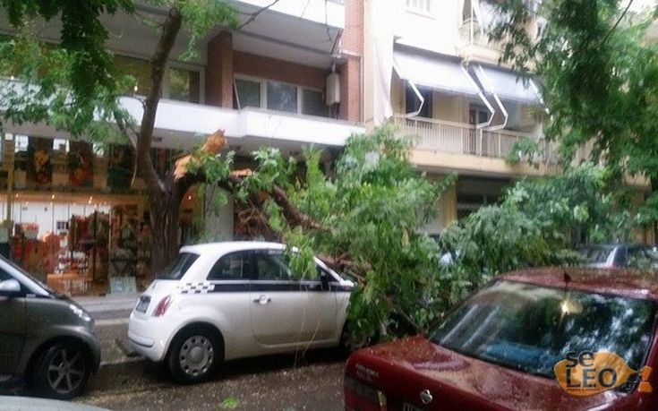 ptosi_dentrou_6-8-2015_3a ptosi_dentrou_6-8-2015_3a