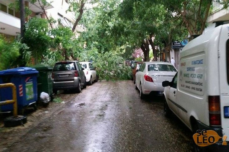 ptosi_dentrou_6-8-2015_4 ptosi_dentrou_6-8-2015_4