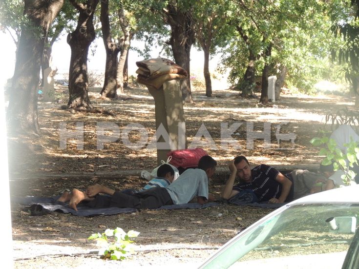 Γεμίζουν με μετανάστες και τα πάρκα της Ρόδου