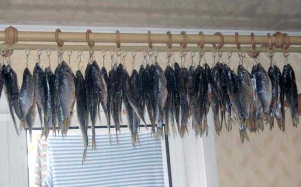 weird-russia-pics-26