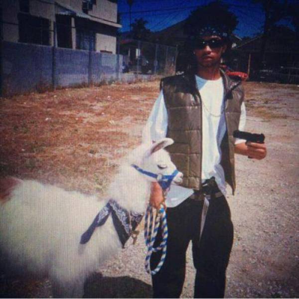 you_dont_want_to_mess_with_these_badasses_640_06