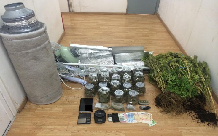 ΦΩΤΟ ΚΑΝΝΑΒΗ 3 ΦΩΤΟ ΚΑΝΝΑΒΗ 3