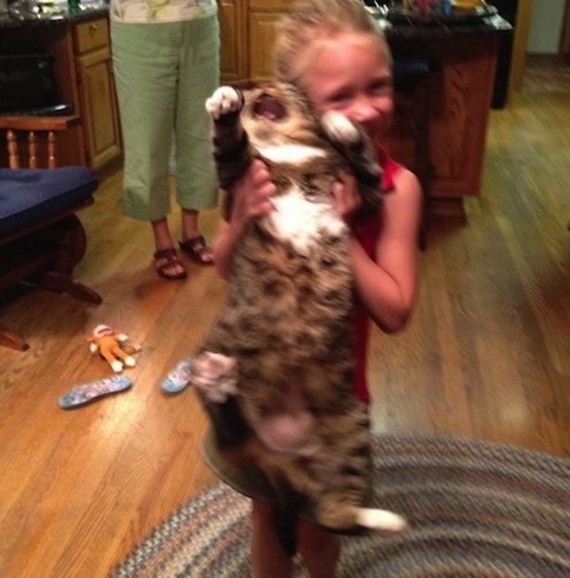 02-Your-Stupid-Photo