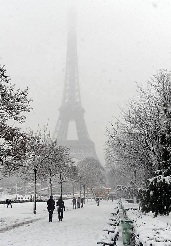 11813261_878569718905445_3781653469584379733_n