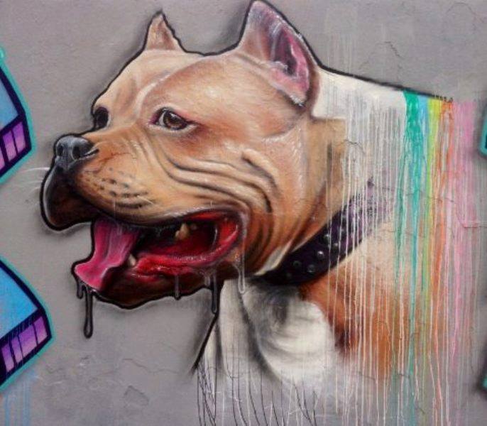 11924898_1041289935967956_5652280159544169144_n