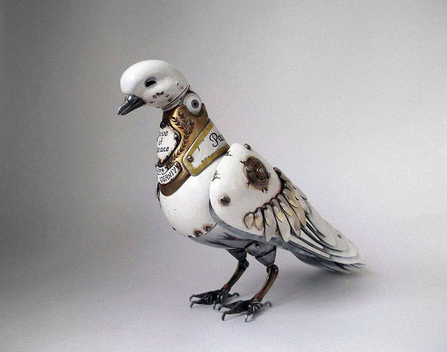 11933442_955822557789867_5122979679092258002_n