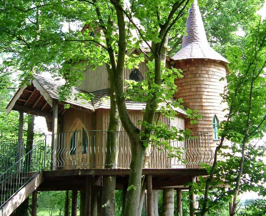 11988232_956612341044222_2397869406758576096_n