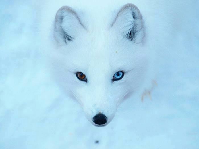 12004106_591879887616510_905309170717434332_n