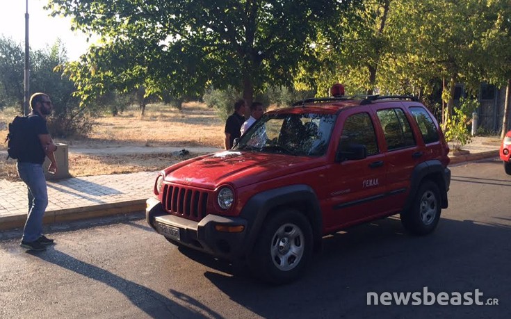 ΦΩΤΙΑ ΔΑΦΝΙ ΠΥΡΟΣΒΕΣΤΙΚΗ ΦΩΤΙΑ ΔΑΦΝΙ ΠΥΡΟΣΒΕΣΤΙΚΗ