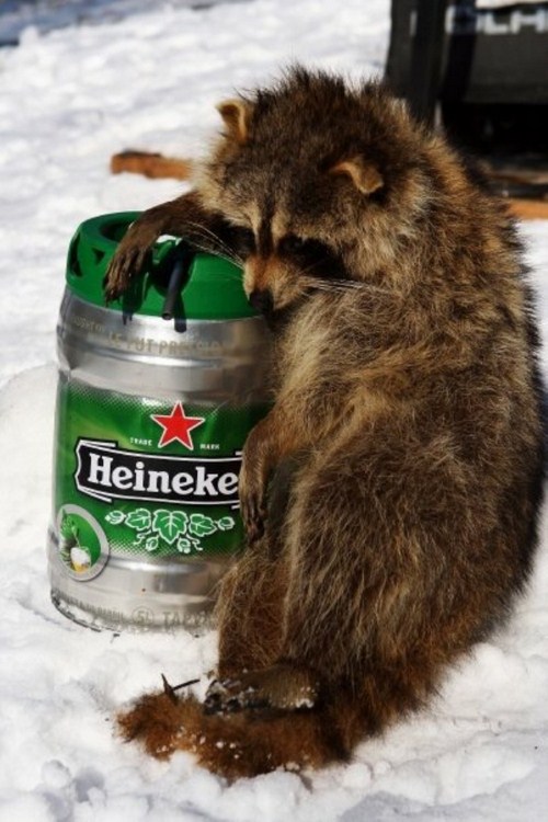 Party-animals-that-worth-taking-to-your-next-party-002